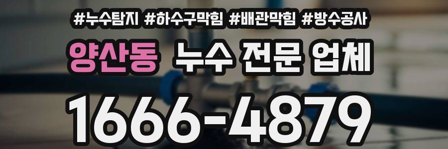양산동 누수 전문 업체