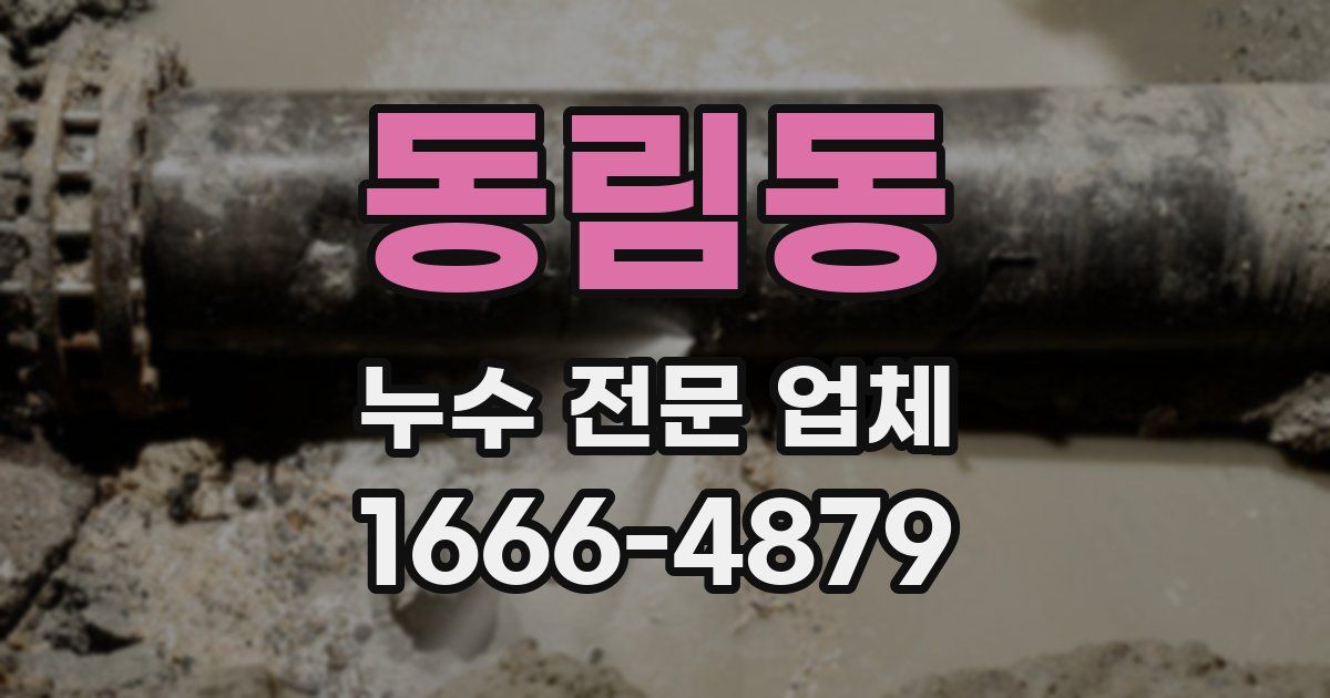 동림동 누수 전문 업체