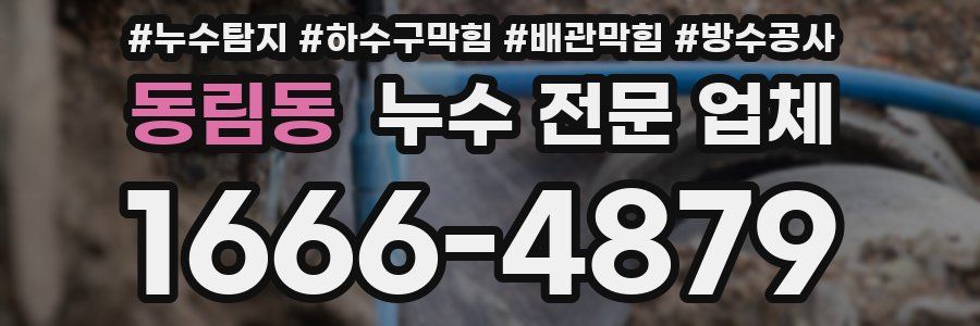 동림동 누수 전문 업체