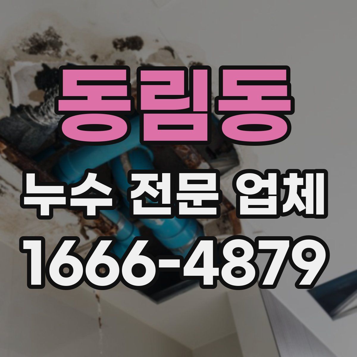 동림동 누수 전문 업체