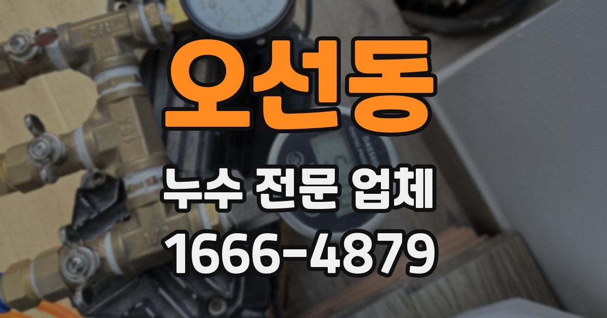 오선동 누수 전문 업체