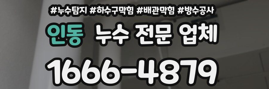 인동 누수 전문 업체