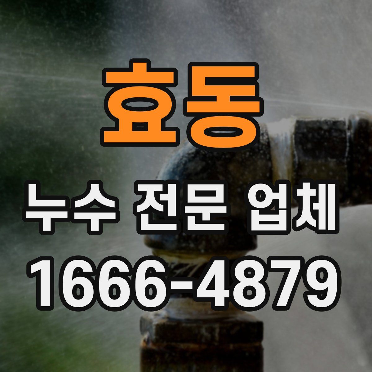 효동 누수 전문 업체