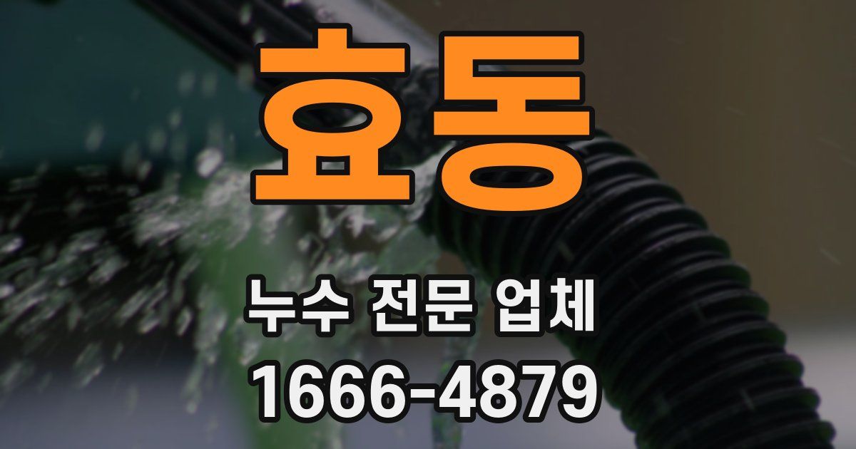 효동 누수 전문 업체