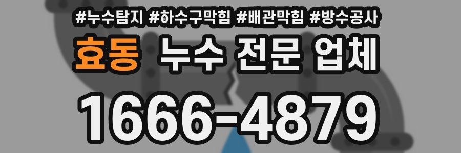 효동 누수 전문 업체