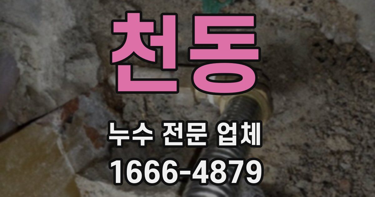 천동 누수 전문 업체