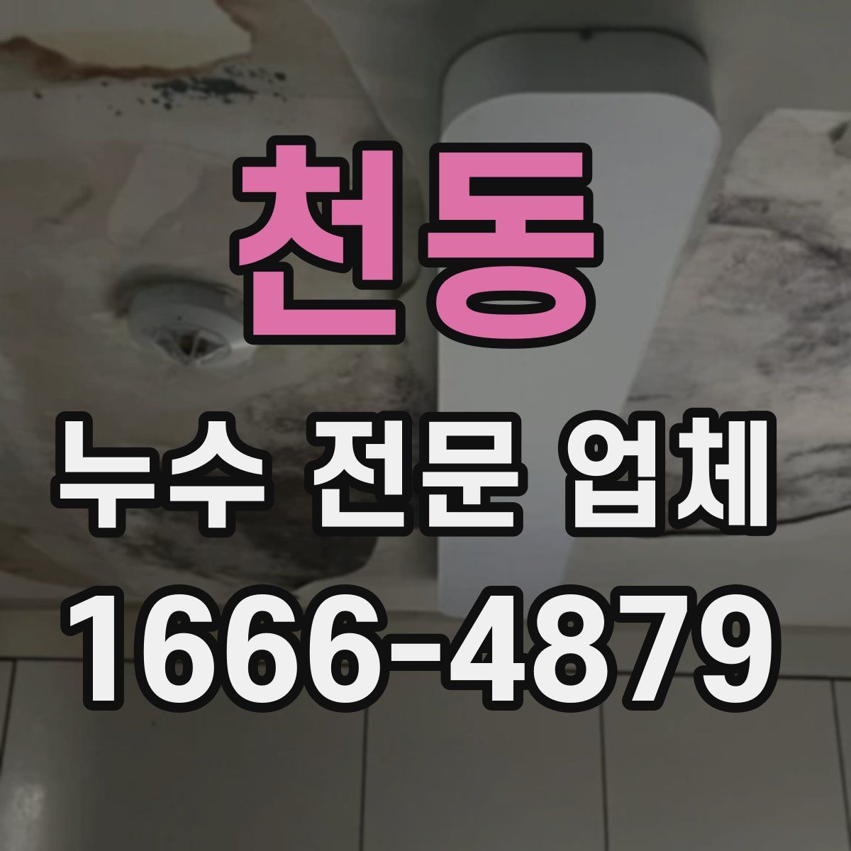 천동 누수 전문 업체