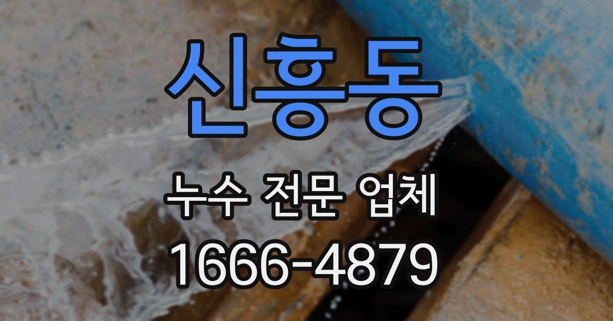신흥동 누수 전문 업체