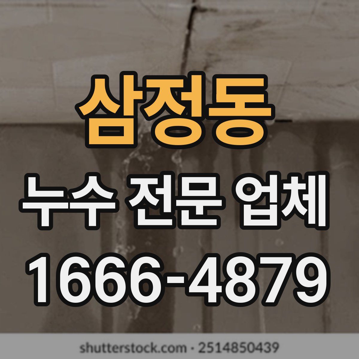 삼정동 누수 전문 업체