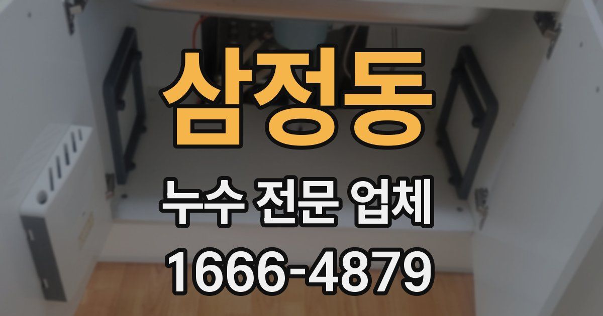 삼정동 누수 전문 업체