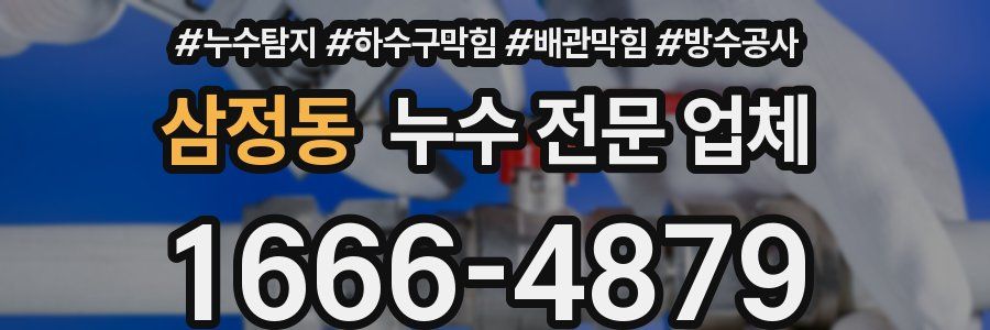 삼정동 누수 전문 업체