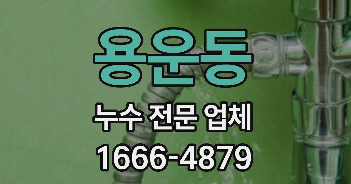 용운동 누수 전문 업체