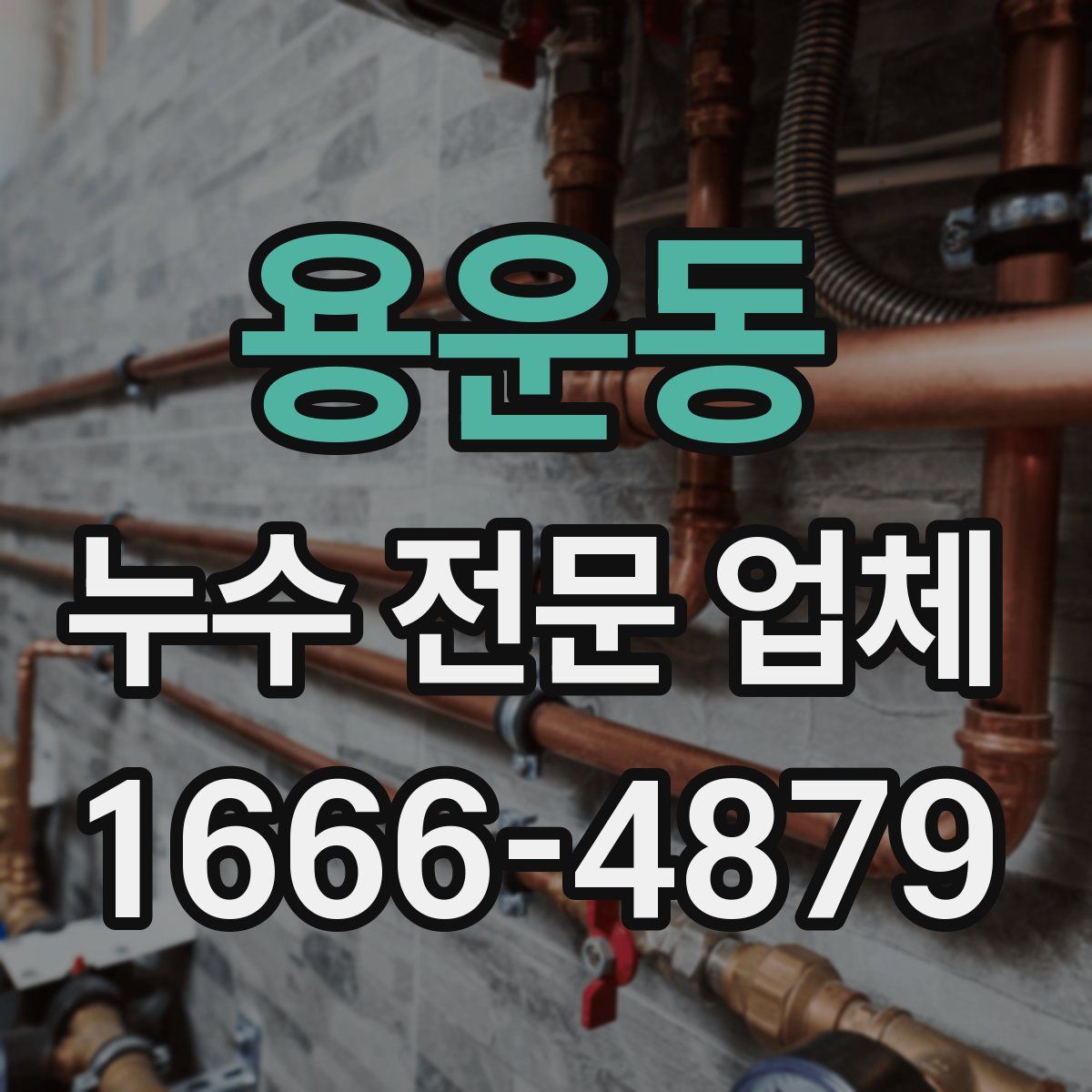 용운동 누수 전문 업체
