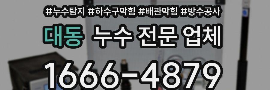 대동 누수 전문 업체