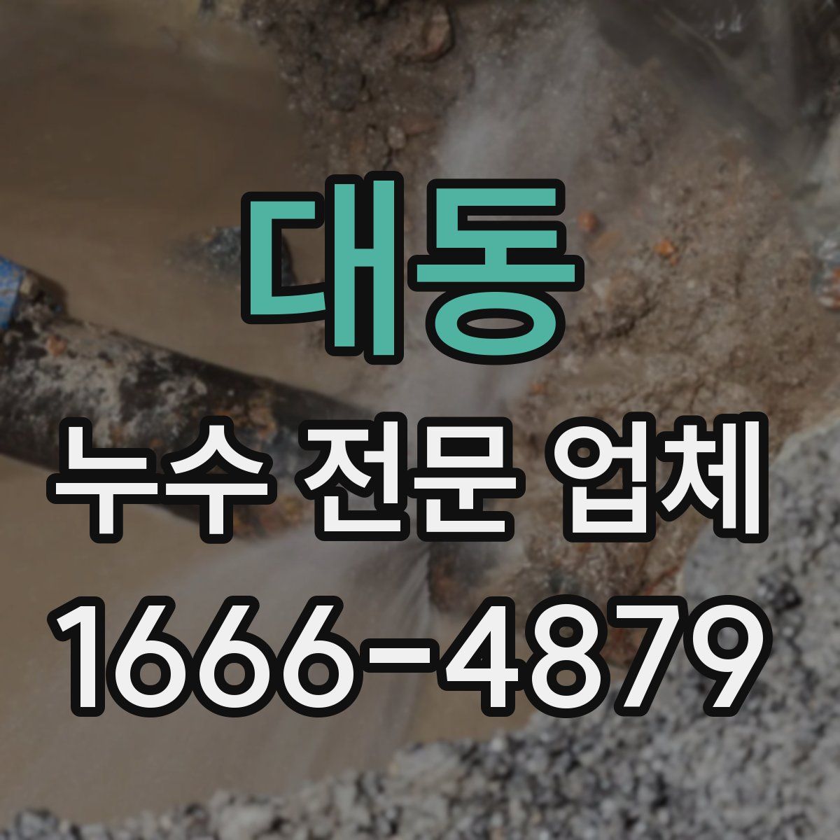 대동 누수 전문 업체