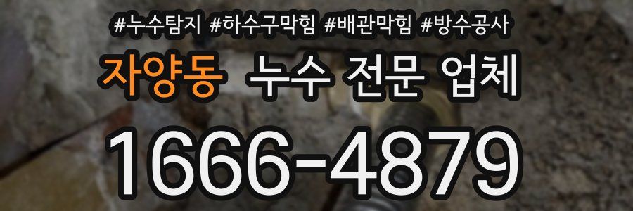 자양동 누수 전문 업체