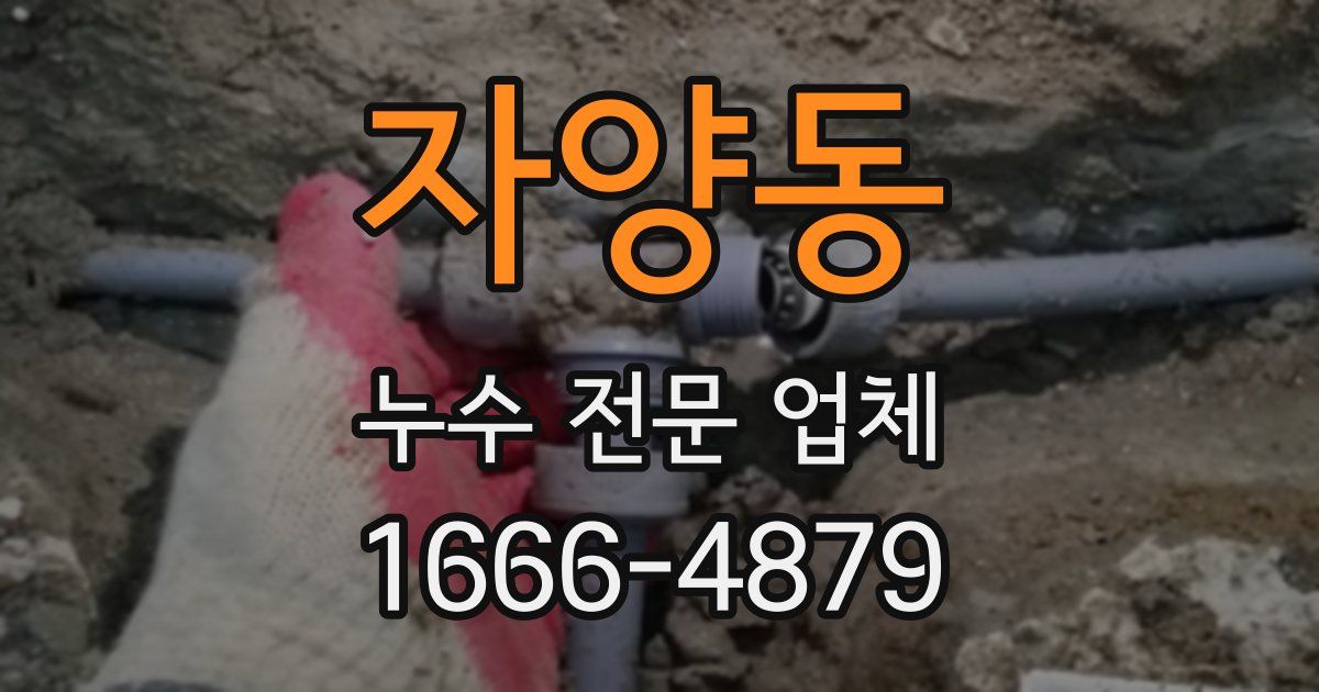 자양동 누수 전문 업체