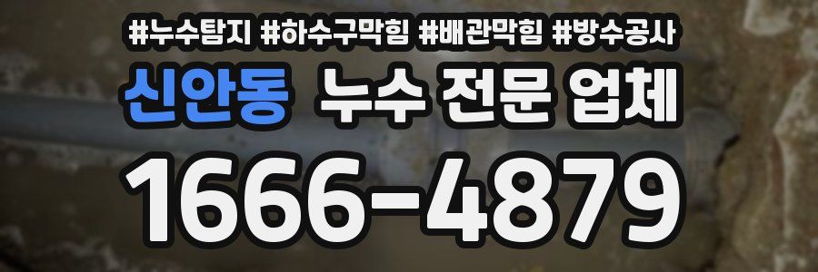 신안동 누수 전문 업체
