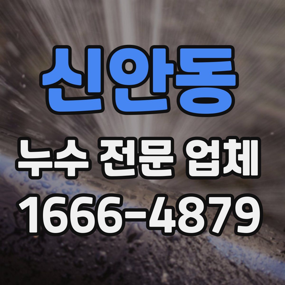 신안동 누수 전문 업체