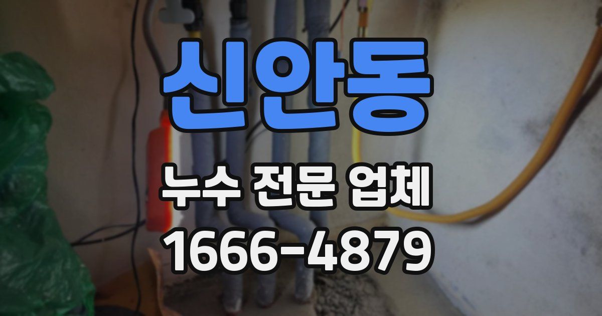신안동 누수 전문 업체