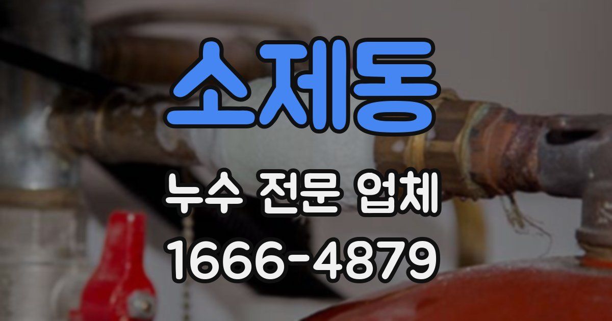 소제동 누수 전문 업체