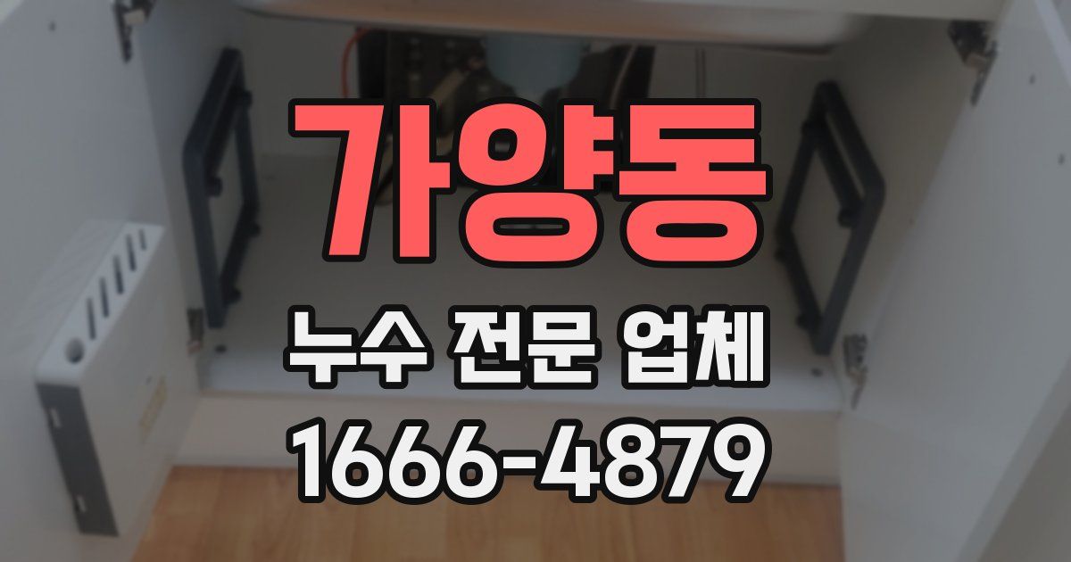 가양동 누수 전문 업체