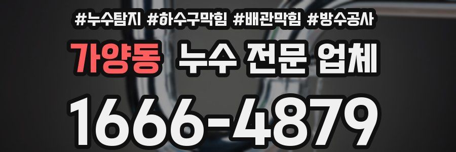 가양동 누수 전문 업체