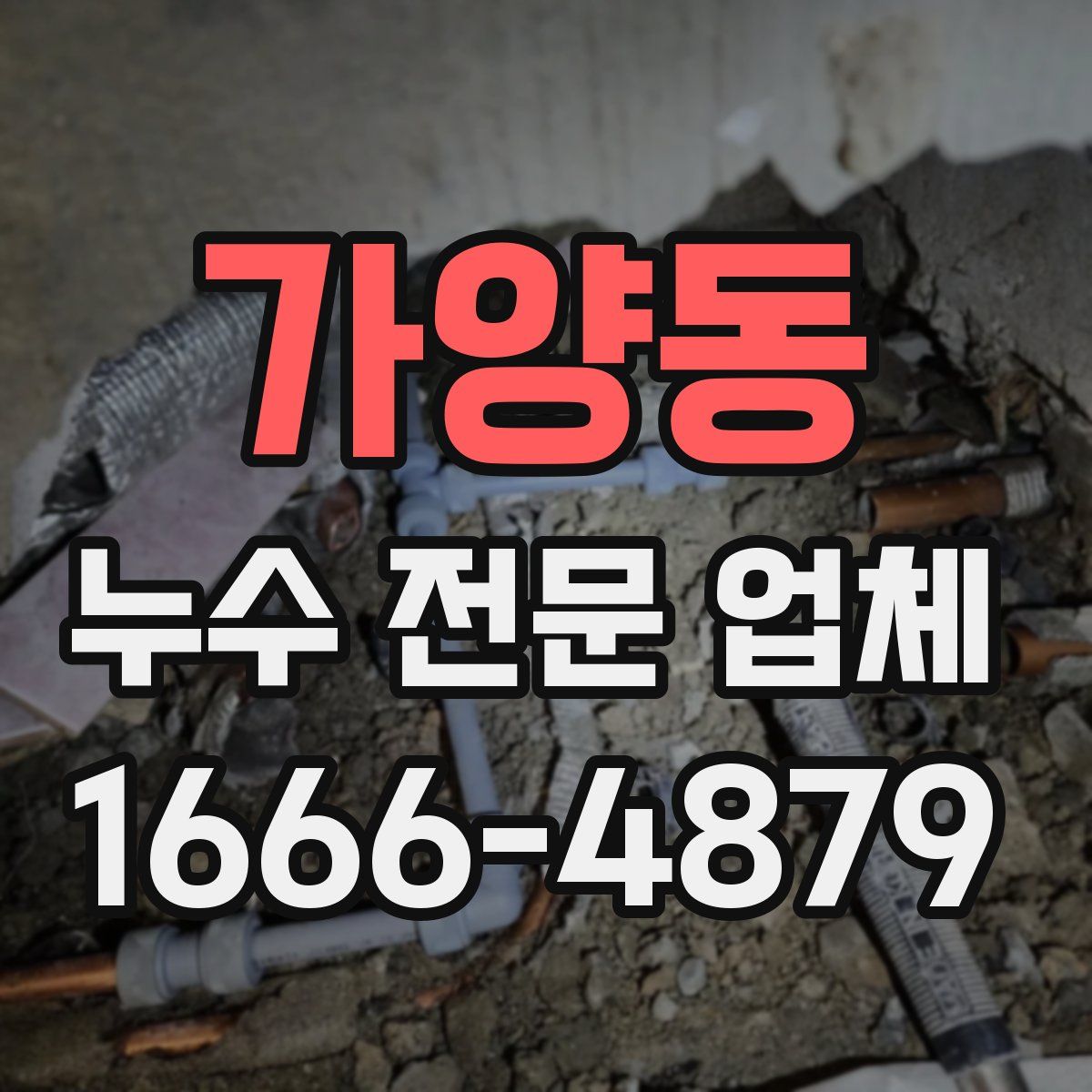 가양동 누수 전문 업체