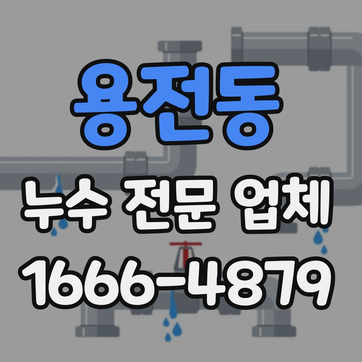 용전동 누수 전문 업체