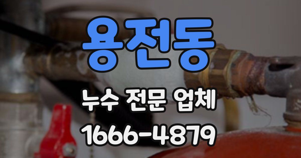 용전동 누수 전문 업체