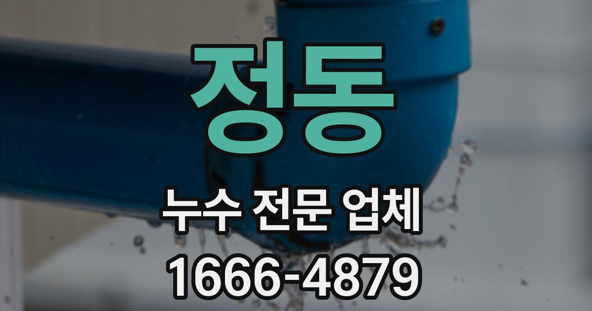 정동 누수 전문 업체