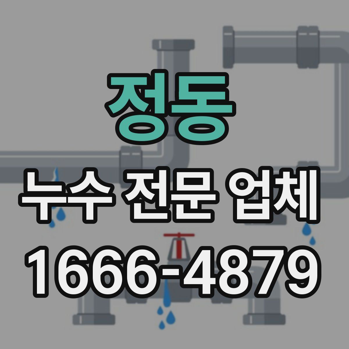 정동 누수 전문 업체