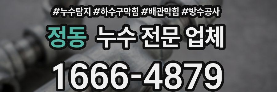 정동 누수 전문 업체