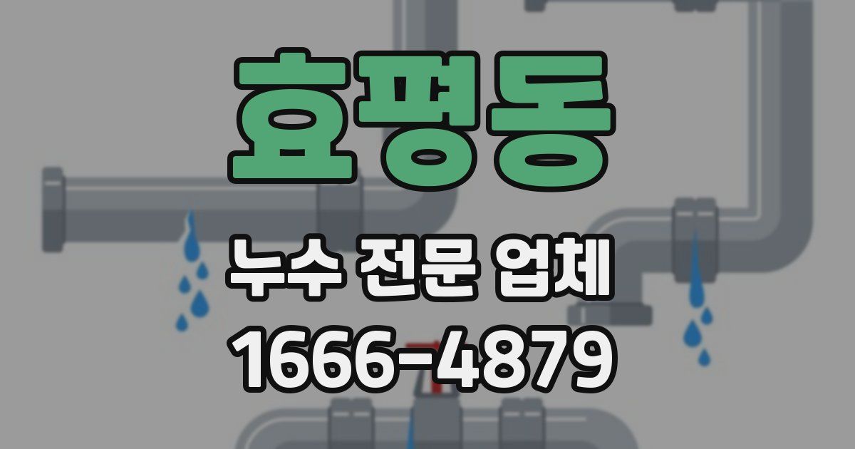 효평동 누수 전문 업체