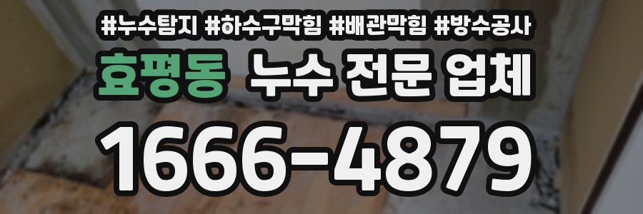 효평동 누수 전문 업체