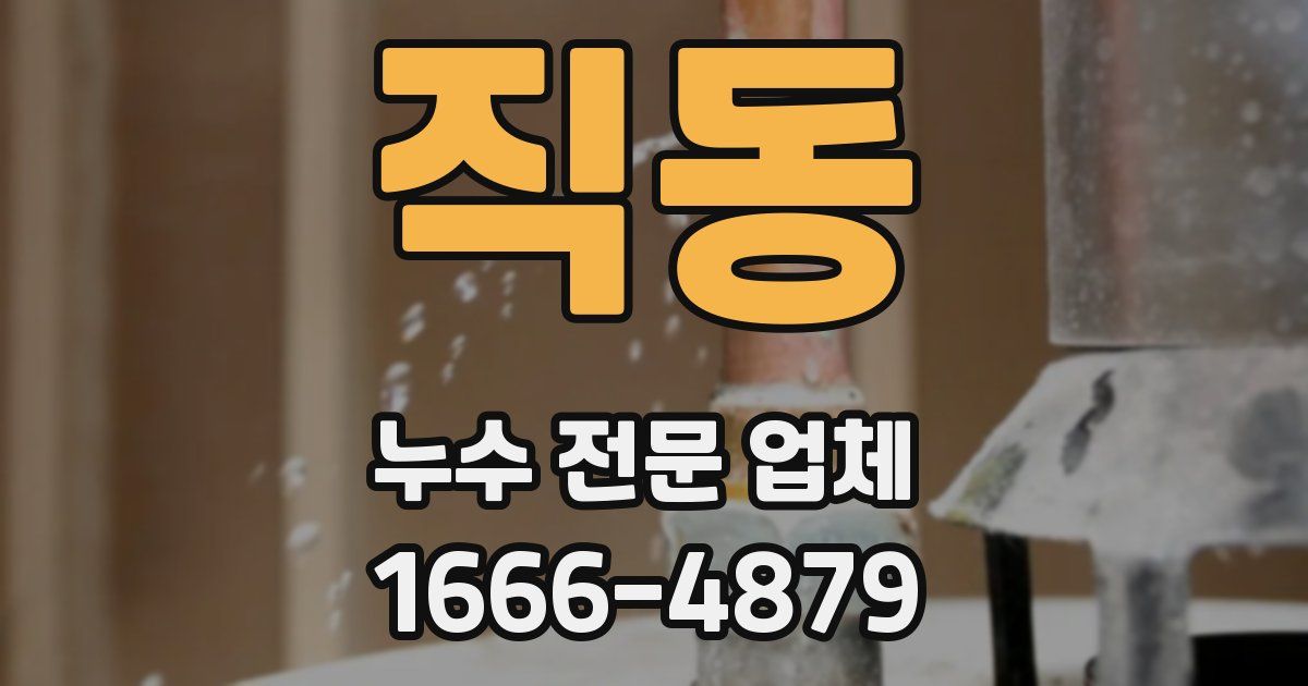직동 누수 전문 업체