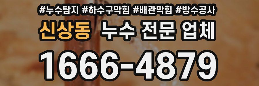 신상동 누수 전문 업체
