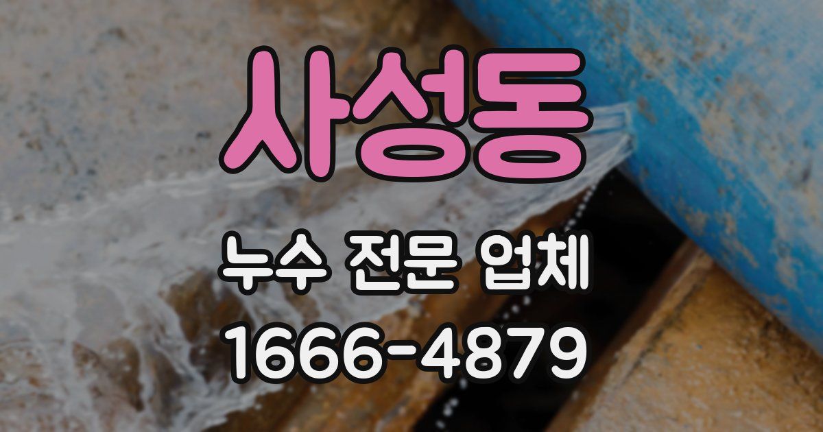 사성동 누수 전문 업체