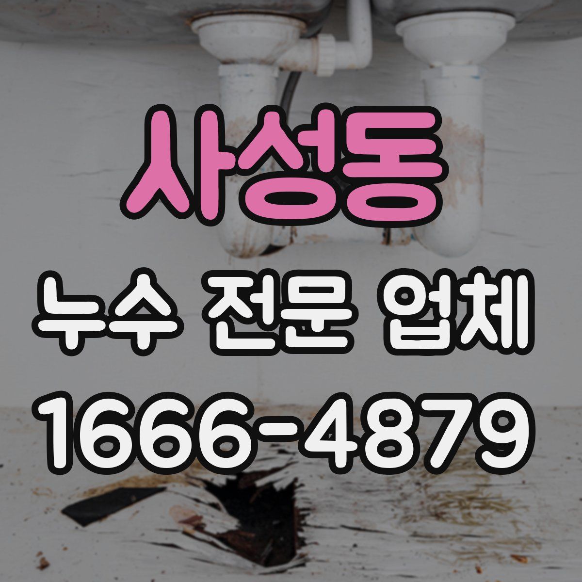 사성동 누수 전문 업체