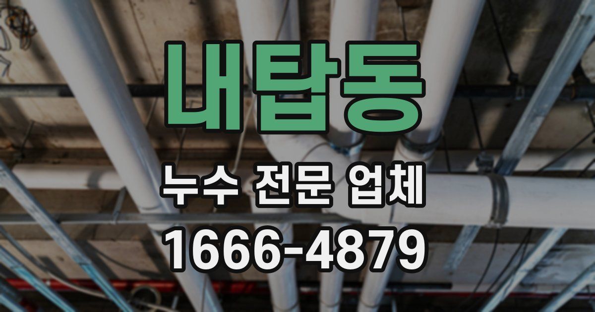 내탑동 누수 전문 업체