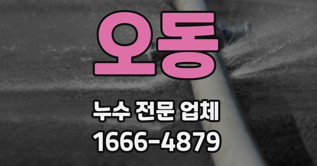 오동 누수 전문 업체