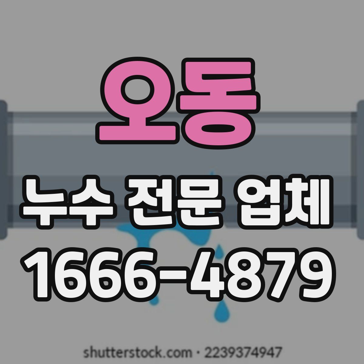 오동 누수 전문 업체