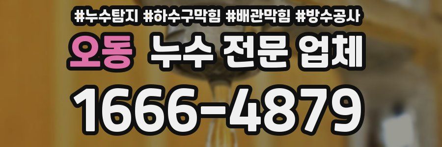 오동 누수 전문 업체