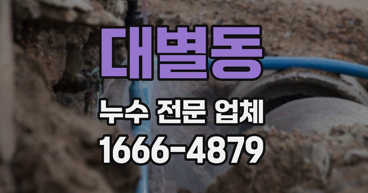 대별동 누수 전문 업체