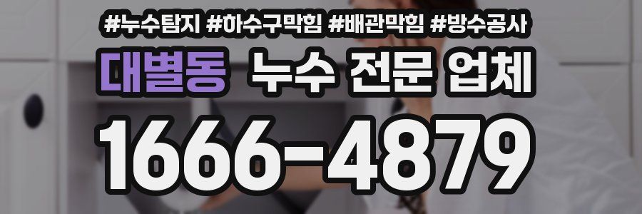 대별동 누수 전문 업체