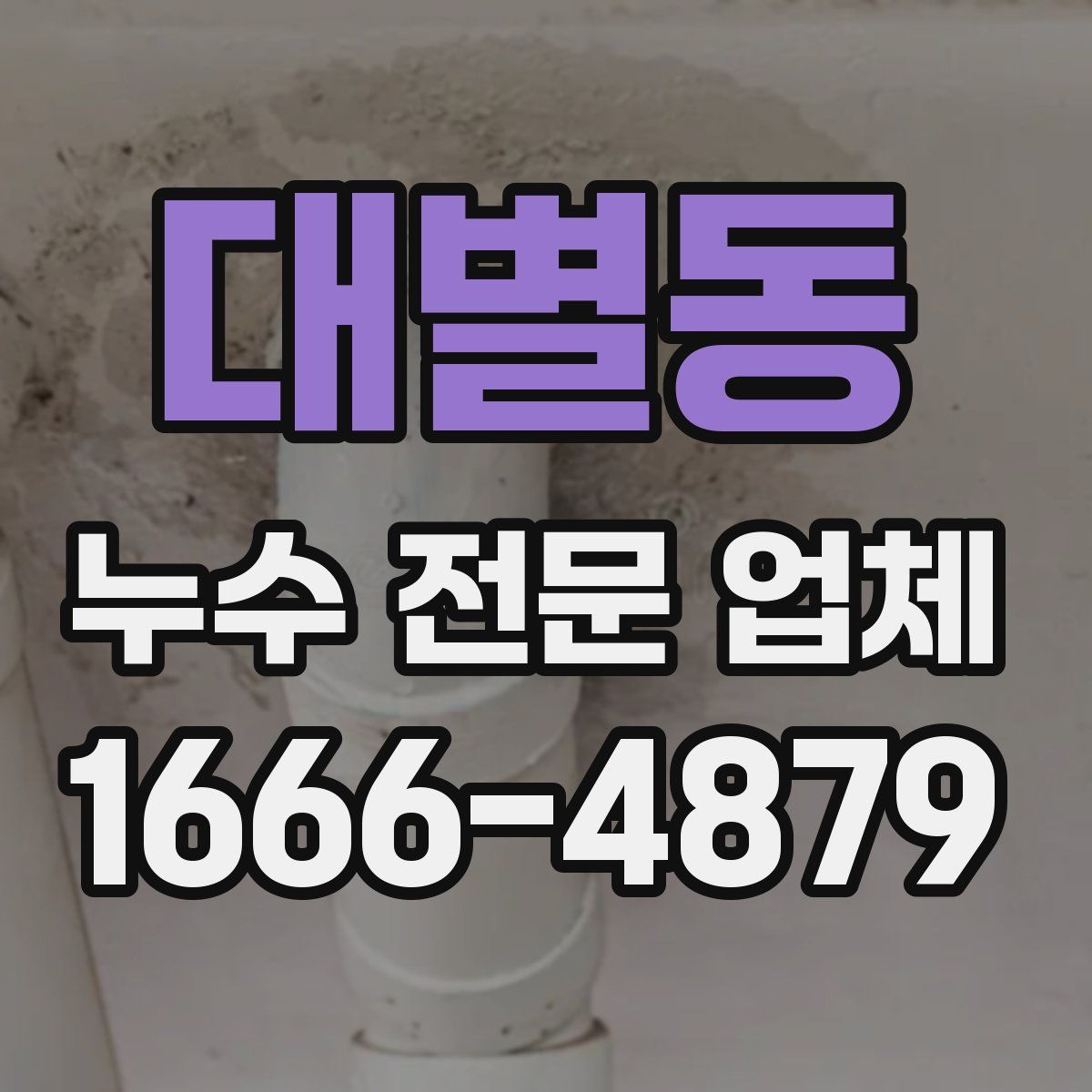 대별동 누수 전문 업체