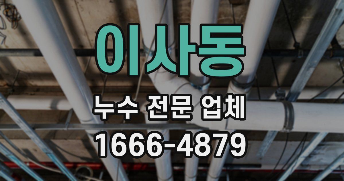 이사동 누수 전문 업체