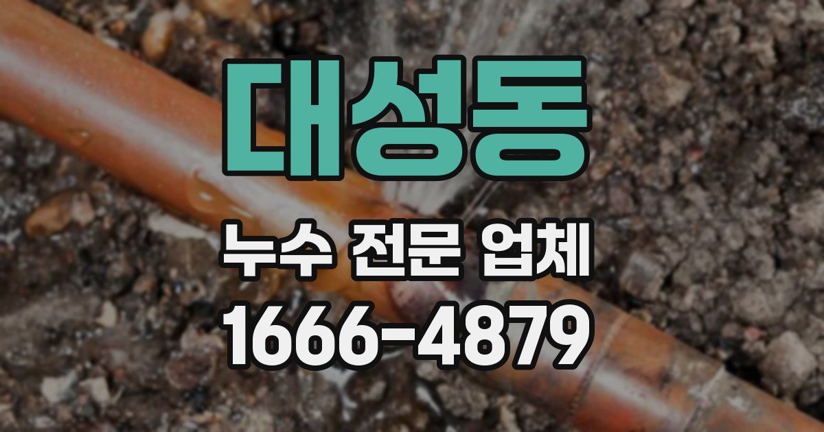 대성동 누수 전문 업체