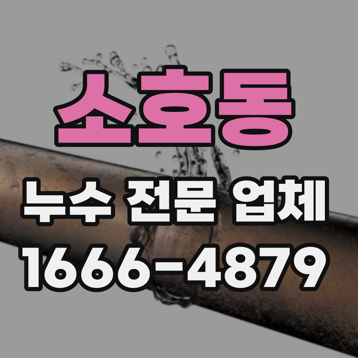소호동 누수 전문 업체