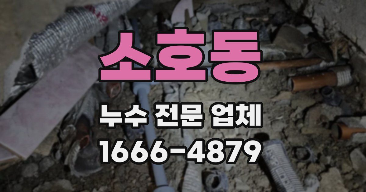 소호동 누수 전문 업체